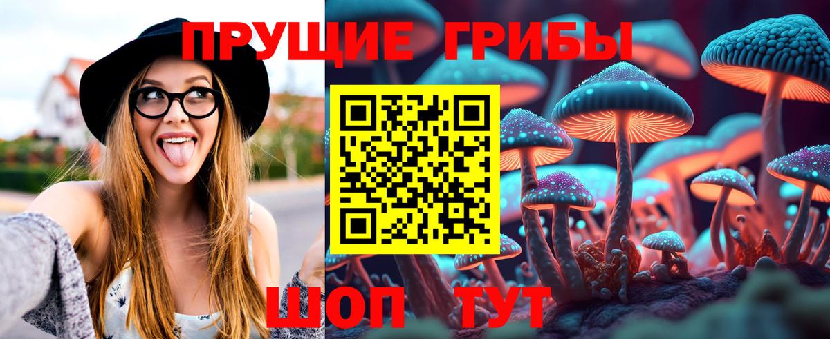 Псилоцибиновые грибы мицелий  Псилоцибиновые грибы MAGIC MUSHROOMS  Котельники  Вход с VPN 
