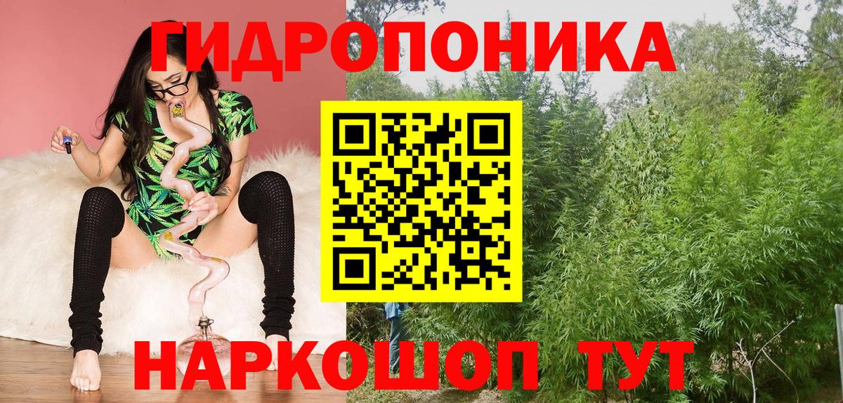 Бошки марихуана ГИДРОПОН  Конопля конопля  Котельники  Бошки Шишки сатива  Вход с VPN  Марихуана SATIVA & INDICA 